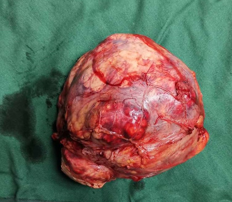 1577268612445034.jpg 微信图片_20191224173731.jpg