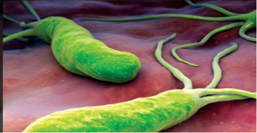 1595576224418455.png image.png