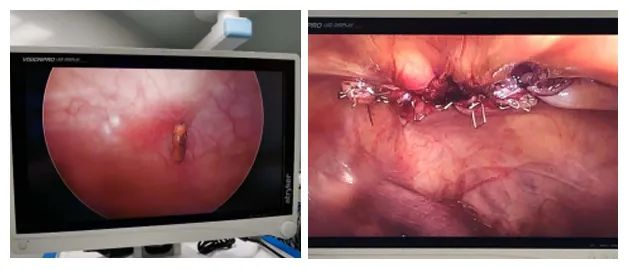 1600938108975006.png image.png