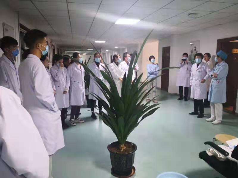 1610713264656400.jpg 1111.jpg