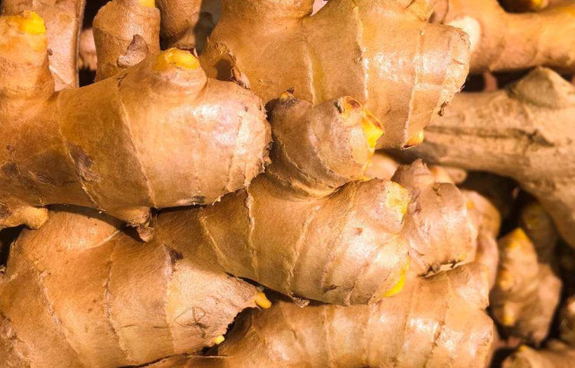 1640230212260350.jpg 640.jpg