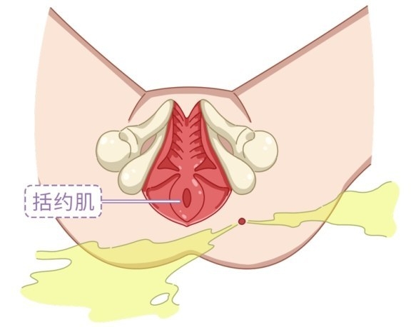 1640605315681268.jpeg 1640605315681268.jpeg