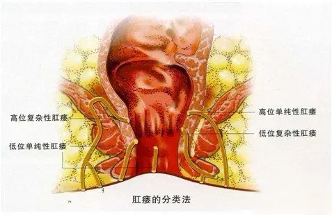 1640605498258198.jpg u=284143275,3087493411&fm=253&app=138&f=JPEG&fmt=auto&q=75.webp.jpg