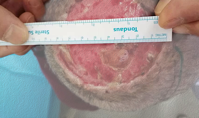 1658139350252468.jpg 12334.jpg