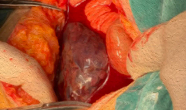 1660620680788319.jpg 1..jpg