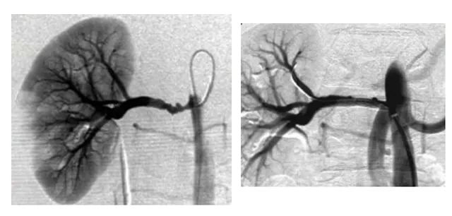 1703122675816621.jpg 1.jpg