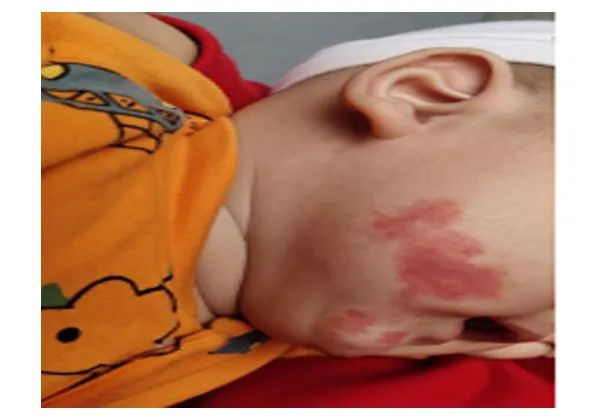 1705455460220399.jpg 1.jpg