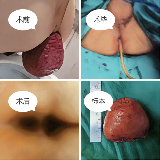 1708413213695221.jpg 1.jpg