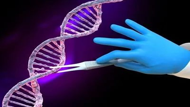 1715916484337473.jpg 1.jpg