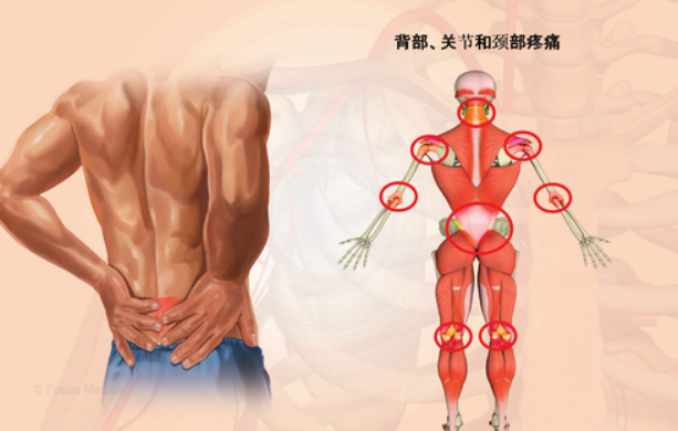 1732861950896069.jpg 1.jpg