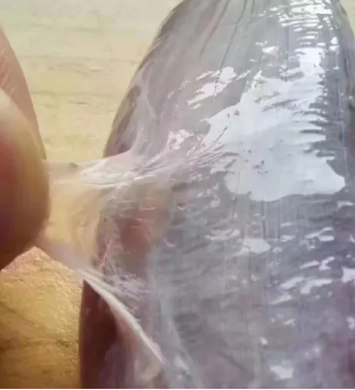 1732862047552610.jpg 1.jpg