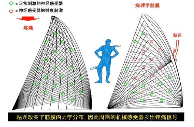 1732862155674019.jpg 1.jpg