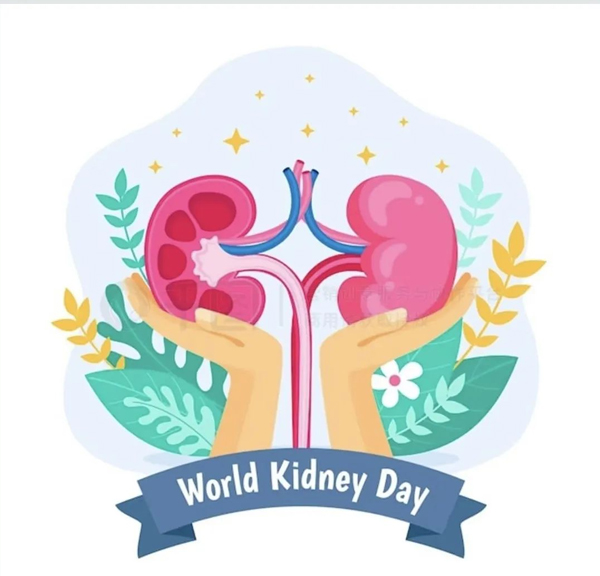 1741854880486412.jpg 1.jpg