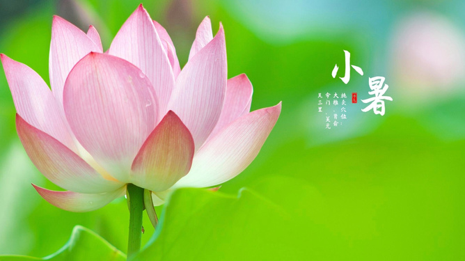 1758337536568232.jpg eeb88387bfc51b95-0208b2ba6b7ef312-c48967264ab467624c5d2775fd7966e8.jpg