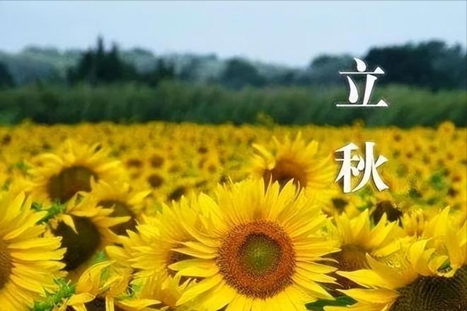 1758338189619809.jpg eeb88387bfc51b95-0208b2ba6b7ef312-b6b594470be4d9a4e7ab2e3c68a2f424.jpg