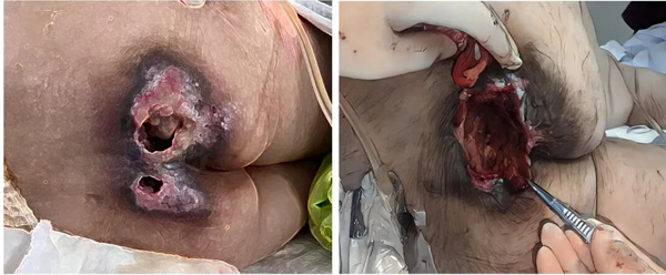 1761009335662764.jpg 1.jpg