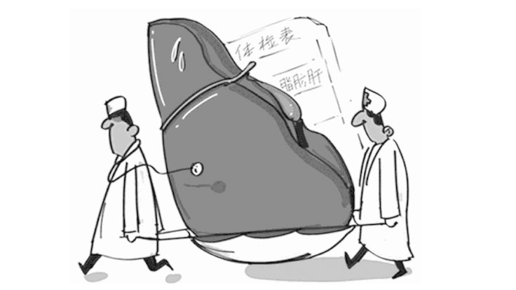 如何早期发现脂肪肝