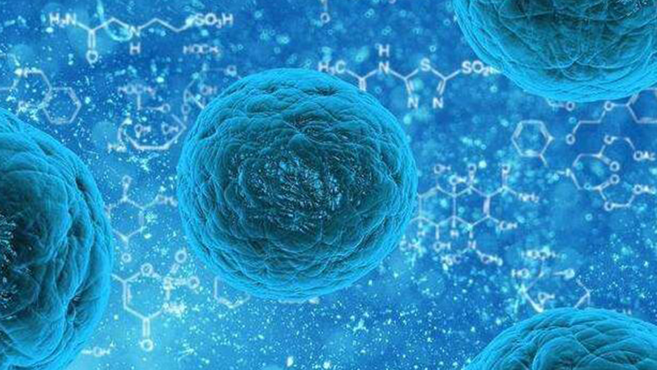癌症“长生不老”关键基因作用揭示