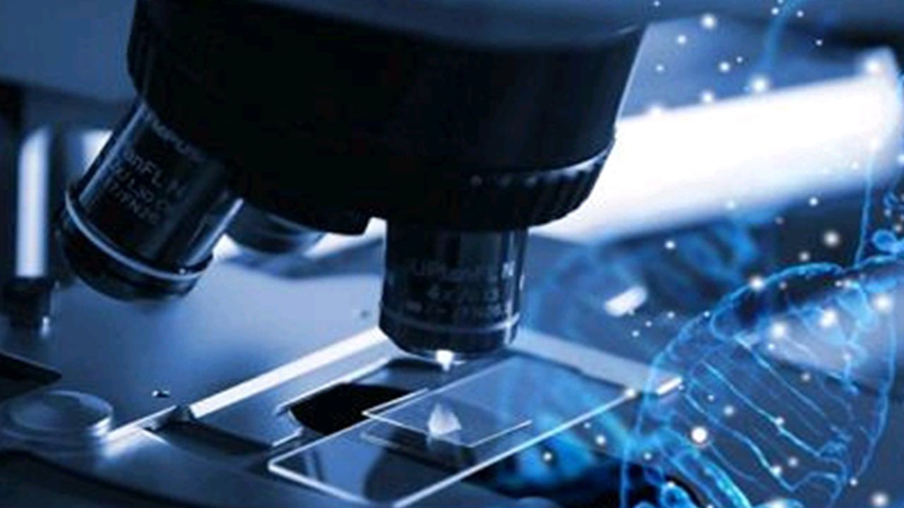 我科学家发现人基因组内休眠古病毒可促衰老