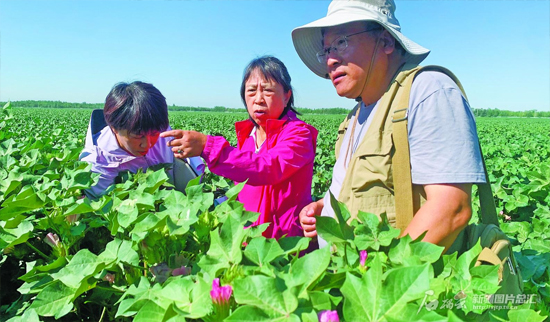 自贡市恐龙博物馆：坚持学术引领，建设西部恐龙科研高地