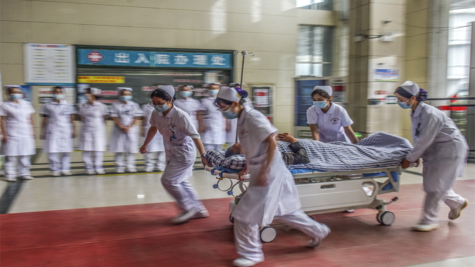 松山医院护理部王楠当选重庆市护理学会副理事长兼秘书长