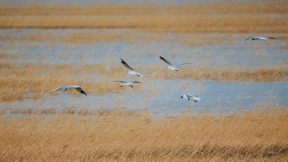 山东省科协开展“科学素质提升媒体行”活动