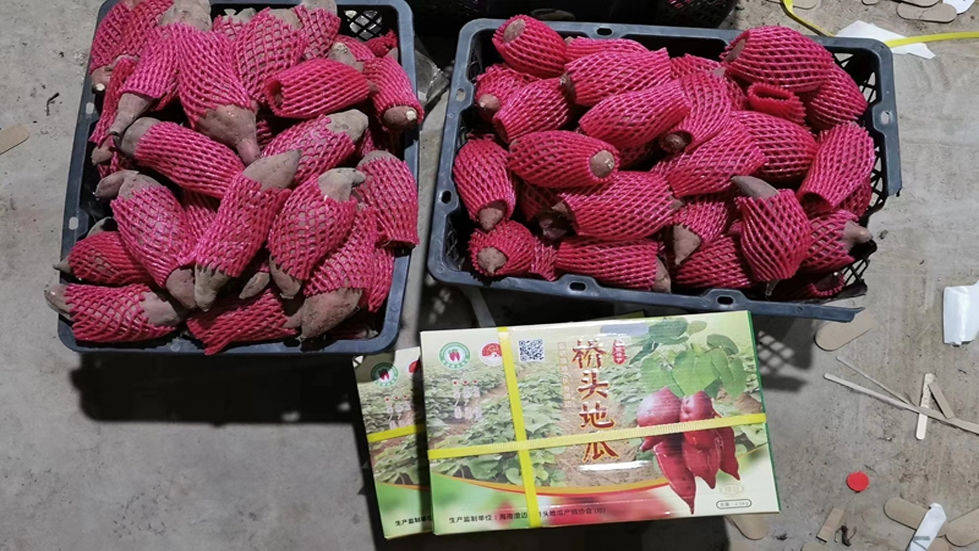 舒兰市自媒体联盟正式成立